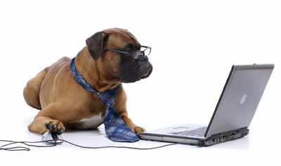 dog wearing a tie using a mouse in front of a computer