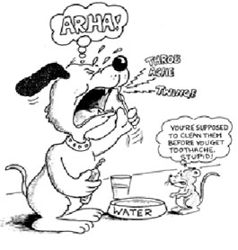 cartoon image of a dog experiencing pain from its teeth