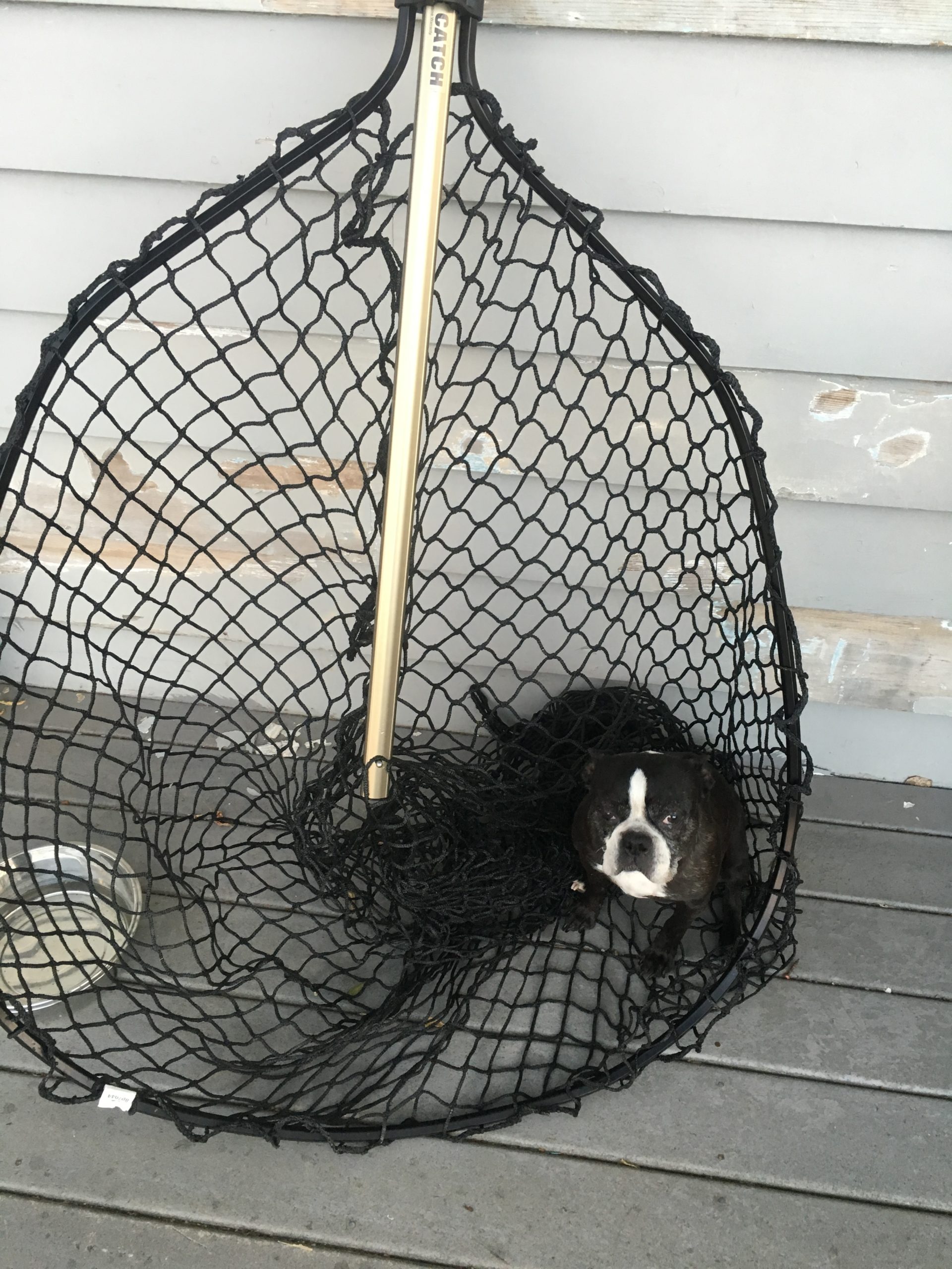 maggie in fish net